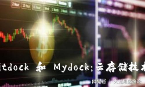 探索 Bitdock 和 Mydock：云存储技术的未来