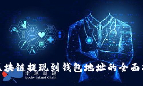 : 区块链提现到钱包地址的全面指南