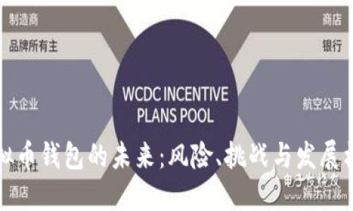 虚拟币钱包的未来：风险、挑战与发展机遇