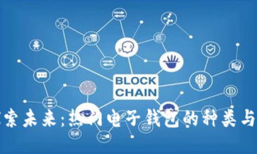 : 探索未来：热门电子钱包的种类与特点