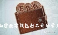 解决加密数字钱包打不开