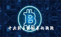 十大新手最好养的狗狗