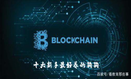 十大新手最好养的狗狗