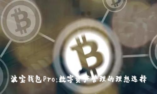 波宝钱包Pro：数字资产管理的理想选择