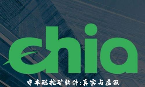 
中本聪挖矿软件：真实与虚假