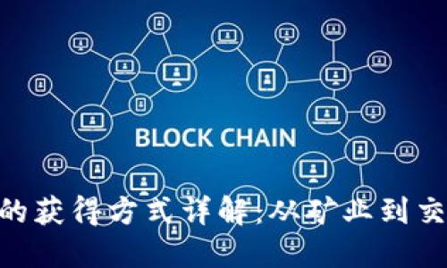 TRX币的获得方式详解：从矿业到交易平台