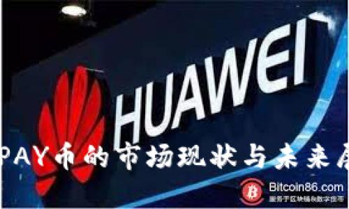 CGPAY币的市场现状与未来展望
