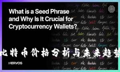 比特币价格分析与未来趋势