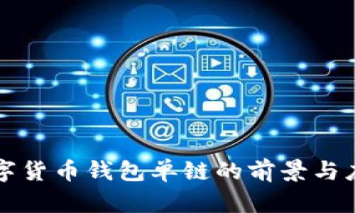 数字货币钱包单链的前景与应用