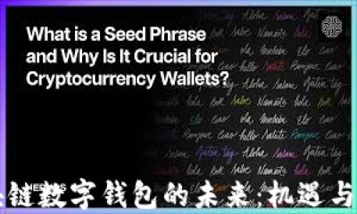 
区块链数字钱包的未来：机遇与挑战