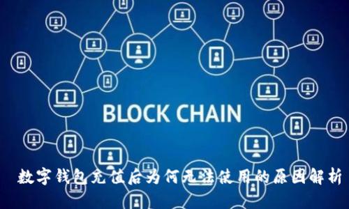  数字钱包充值后为何无法使用的原因解析