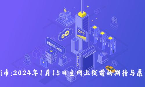 Pi币：2024年1月15日主网上线前的期待与展望