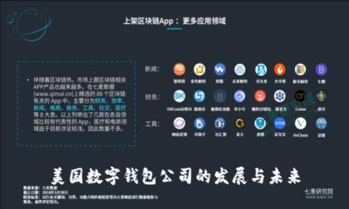 美国数字钱包公司的发展与未来