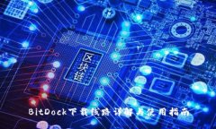 BitDock下载线路详解与使用