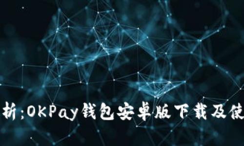 全面解析：OKPay钱包安卓版下载及使用指南