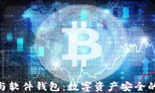 
硬件钱包与软件钱包：数字资产安全的选择之道