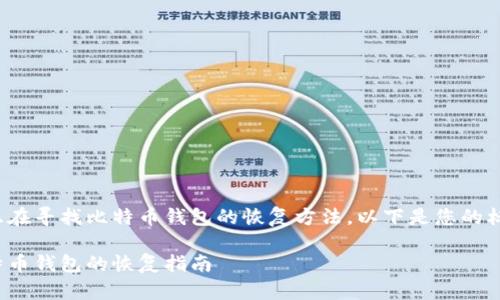 假设您正在寻找比特币钱包的恢复方法，以下是您的标记示例：

早期比特币钱包的恢复指南