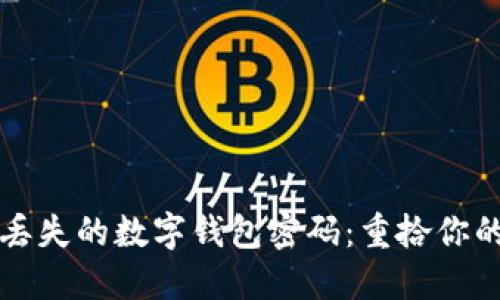 如何找回丢失的数字钱包密码：重拾你的加密资产