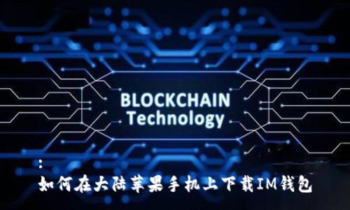 :
如何在大陆苹果手机上下载IM钱包