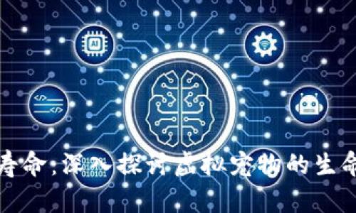 区块链宠物的寿命：深入探讨虚拟宠物的生命周期和持续性