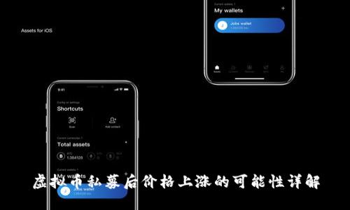 虚拟币私募后价格上涨的可能性详解