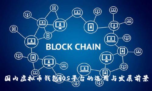 国内虚拟币钱包iOS平台的选用与发展前景