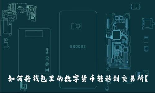 如何将钱包里的数字货币转移到交易所？