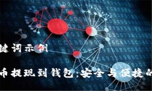 及关键词示例

虚拟币提现到钱包：安全与便捷的指南