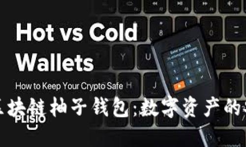 深入探讨区块链柚子钱包：数字资产的安全与便利