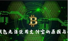 区块链钱包无法使用支付