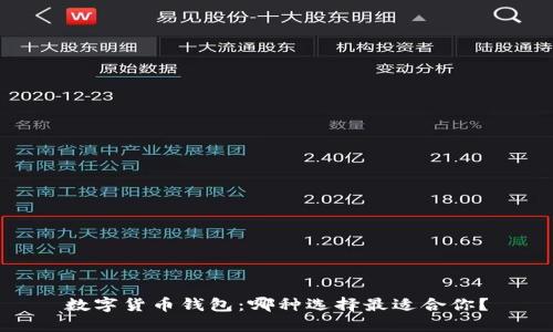 数字货币钱包：哪种选择最适合你？