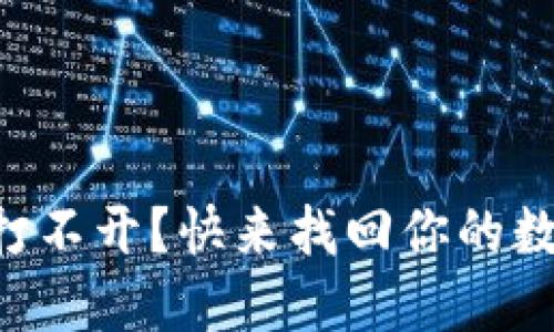 区块链钱包打不开？快来找回你的数字资产之路！