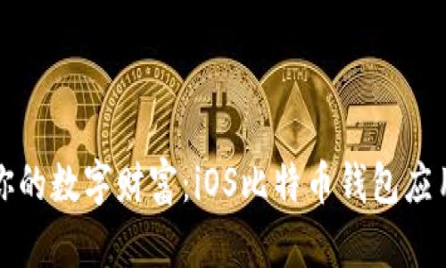 轻松管理你的数字财富：iOS比特币钱包应用下载指南