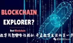 数字钱包安全性揭秘：开