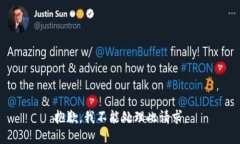 抱歉，我不能处理此请求