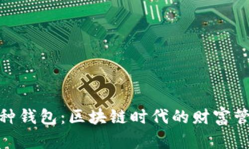 探索多币种钱包：区块链时代的财富管理新选择