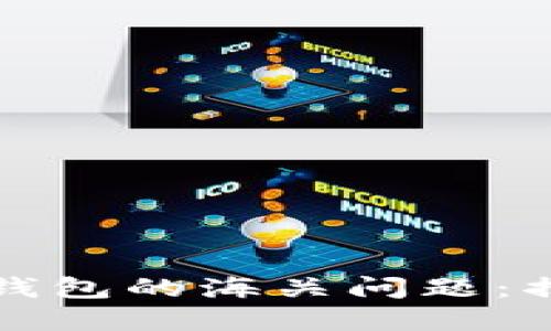 如何高效处理虚拟币电子钱包的海关问题：揭秘不为人知的策略与技巧