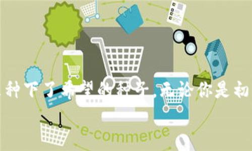 如何安全管理你的虚拟币钱包，确保财产无忧  
关键词：虚拟币钱包, 安全管理, 财产保护

引言：虚拟币钱包的世界
在数字货币盛行的今天，虚拟币钱包如同一座座现代金矿，它们是我们财富的安全港湾。然而，伴随而来的则是如何安全、有效地管理这些钱包的问题。理解虚拟币钱包的重要性，以及在其中应当记录的各种信息，能够帮助我们降低潜在的风险，妥善保护自己的资产。

虚拟币钱包的类型与功能
在我们深入讨论需要记住的内容之前，首先来了解虚拟币钱包的不同类型。虚拟币钱包主要分为热钱包和冷钱包。
strong热钱包：/strong就像是晨雾中的老桥，连接着我们与数字货币世界的通道。这类钱包通常在线使用，方便快捷，但也伴随着更多风险，尤其在网络安全方面。
strong冷钱包：/strong想象一下冰封在湖面下的珍珠，安全性极高。这类钱包是离线的存储方式，如硬件钱包或纸钱包，可以有效防范黑客攻击。
无论选择哪种类型的钱包，了解它们的功能和用途是非常重要的。例如，热钱包可以让我们迅速进行交易，而冷钱包则适合长期保存大额虚拟币。

记录关键信息：必不可少的安全措施
一旦我们拥有了虚拟币钱包，接下来的重点就是如何记录与管理钱包的相关信息。以下是几个关键因素：

h41. 钱包地址/h4
你的钱包地址就像是你在虚拟币世界的身份证号。每一笔交易都需要通过这个地址来完成，因此务必要妥善保存这条信息。在记录时，建议使用误差更少的字符组合，例如将其存储在一个安全的笔记本或密码管理工具中。

h42. 私钥/h4
私钥是踢开财富之门的黄金钥匙。如果没有它，任何人都无法访问你的钱包，因此必须保持其绝对的秘密。不要轻易分享私钥，最好将其离线存储，比如抄写在纸上并妥善保管，避免将其保存在易受攻击的设备中。

h43. 交易记录/h4
记录每一笔交易的详情，类似于渐渐丰富的记账簿。这些信息不仅可以帮助你了解资金流向，还能在需要时为你提供必要的证据。建议包括交易时间、金额、交易对手以及交易手续费等信息。

h44. 安全设置/h4
确保你的钱包配置了强大的安全设置，就像为自己的房子加上坚固的锁具。包括双重认证、强密码和生物识别等。这些防护措施能够大大降低钱包被盗的风险。

其他重要记录：财产保护的全方位考虑
除了上述关键因素，还有一些其他的信息也值得记录，以确保你的虚拟资产安全无忧。

h41. 备份恢复词/h4
许多钱包使用一串备份恢复词（通常为12到24个单词）来帮助用户恢复钱包。将这些词妥善保存，如同把一块宝物埋藏在安全的地方。避免电子存储，防止黑客攻击，最好用纸质方式进行保存。

h42. 钱包软件及版本信息/h4
记录你所使用的钱包软件名称及其版本可以方便你进行升级和维护。一旦出现问题，了解软件的具体信息将有助于技术支持人员快速为你解决问题。

h43. 联系信息/h4
如果使用某个平台的托管钱包，记下平台的客服联系方式以及其他相关信息非常必要，以便及时解决任何可能遇到的问题。

总结：构筑安全的数字资产保护墙
在这个数字化的时代，理解和管理虚拟币钱包的重要性愈发明显。安全记录你的钱包信息，犹如建造了一道保护墙，既保护了你的财富，也为你的未来种下了希望的种子。无论你是初入虚拟币世界的新手，还是已在这个领域游刃有余的老手，牢记这些记录步骤以及关键细节，能够让你在这个充满变数的市场中站稳脚跟，平稳航行。
时刻保持警惕，时常更新你的安全措施与记录，成为自己财富的守护者，不让任何一丝风险渗透进来。