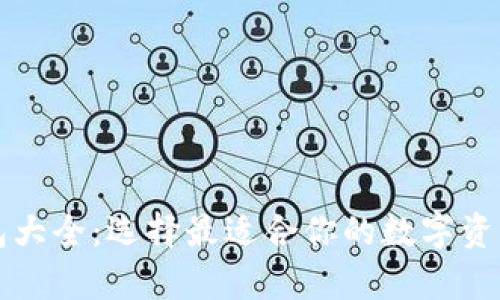 虚拟币钱包大全：选择最适合你的数字资产存储方案