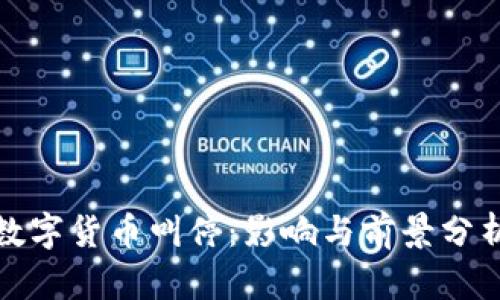 数字货币叫停：影响与前景分析