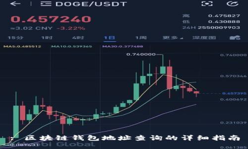 : 区块链钱包地址查询的详细指南