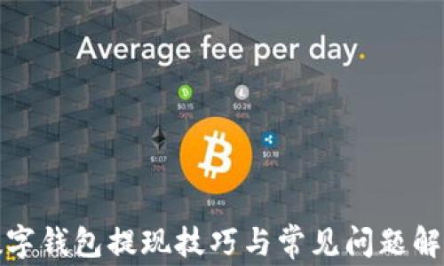 
数字钱包提现技巧与常见问题解析