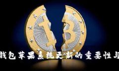 imToken钱包苹果系统更新的重要性与操作指南