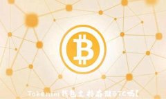 Tokenim钱包支持存储BTC吗？