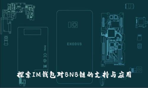 探索IM钱包对BNB链的支持与应用