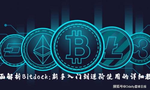 全面解析Bitdock：新手入门到进阶使用的详细教程