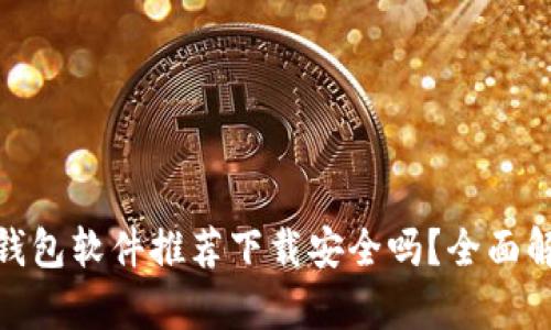 加密货币钱包软件推荐下载安全吗？全面解析与建议