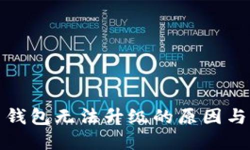 数字货币钱包无法升级的原因与解决方案